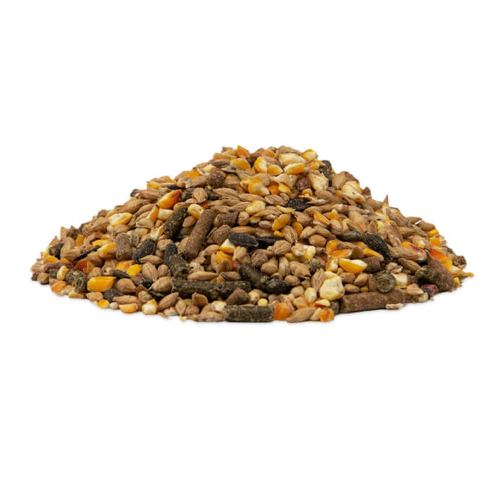 Produktbild vom GOLDPFERD Powermüsli P13