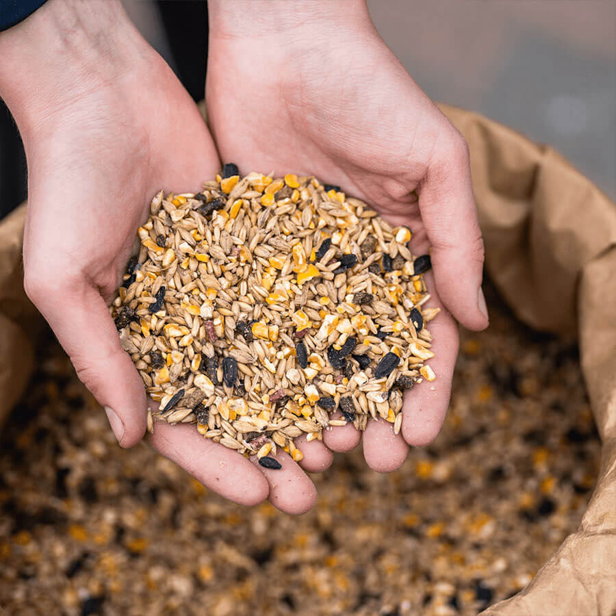 Hände halten eine Portion GOLDPFERD Powermüsli P16 über einem offenen Futtersack