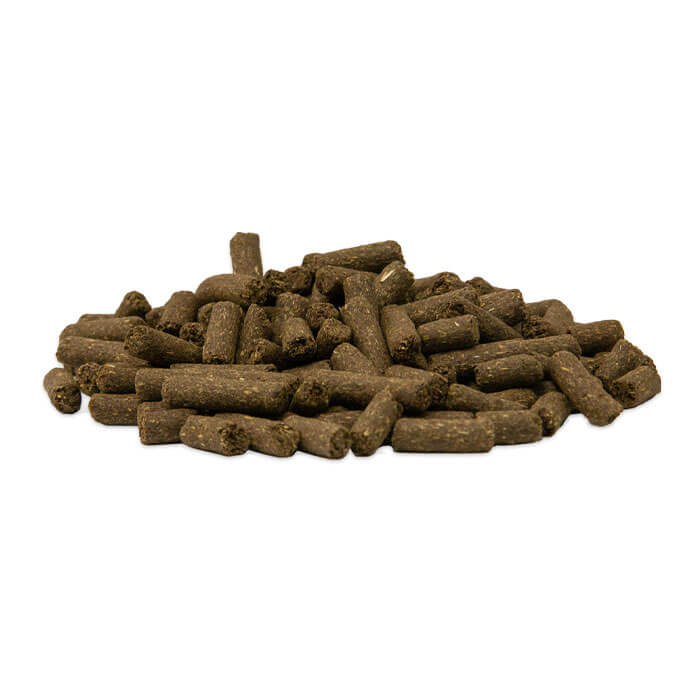 Produktbild vom GOLDPFERD Sorgenfrei