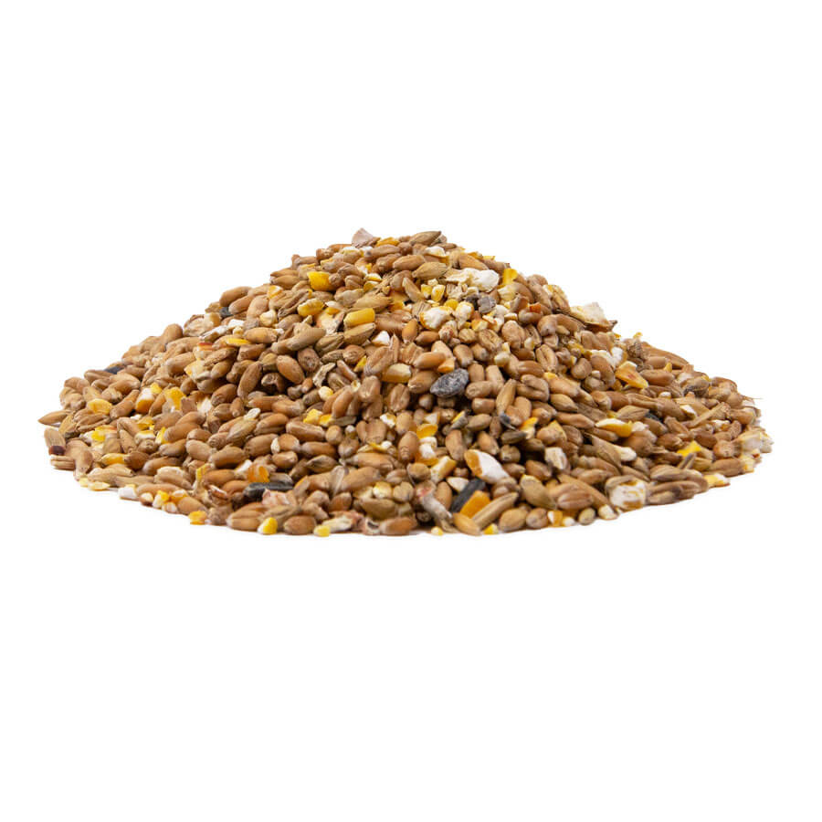 Produktbild vom GOLDPICK Körnerfutter ohne Hafer mit Sonnenblumenkernen