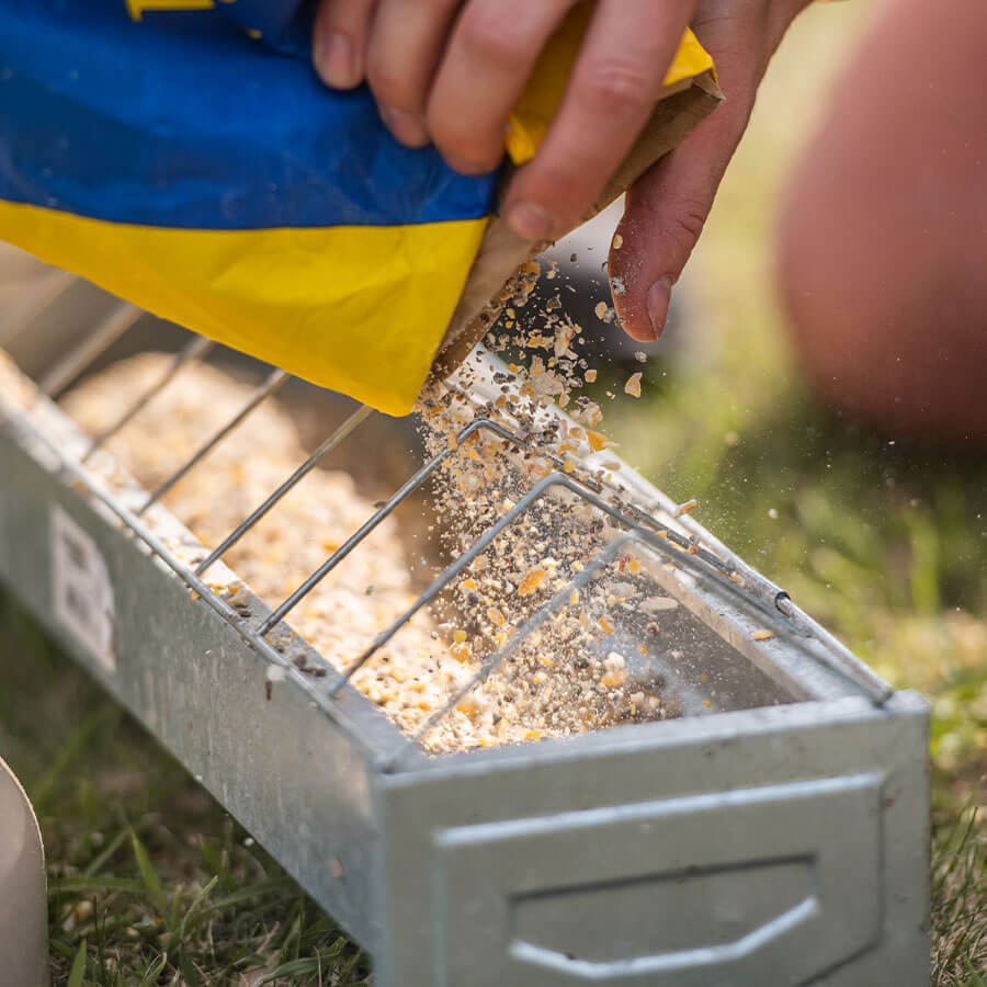 GOLDPICK Legemehl GVO frei wird in einen Futterspender geschüttet